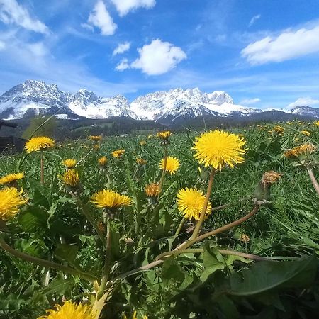 Ferienwohnung Lara Scheffau am Wilden Kaiser Buitenkant foto