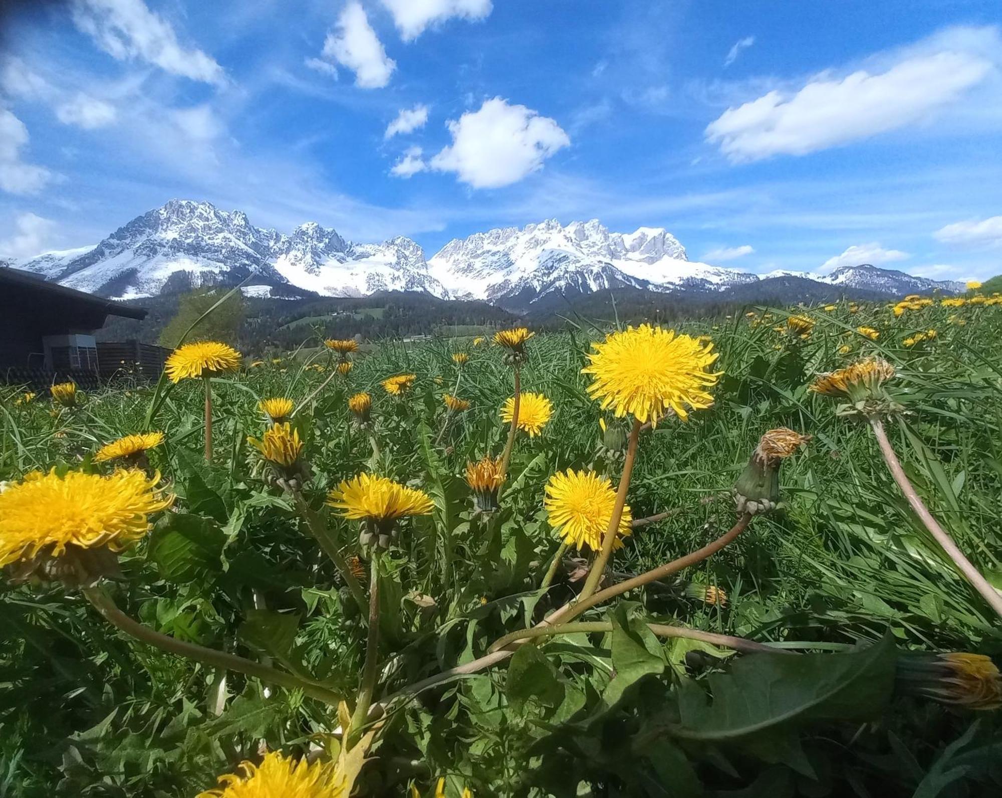 Ferienwohnung Lara Scheffau am Wilden Kaiser Buitenkant foto