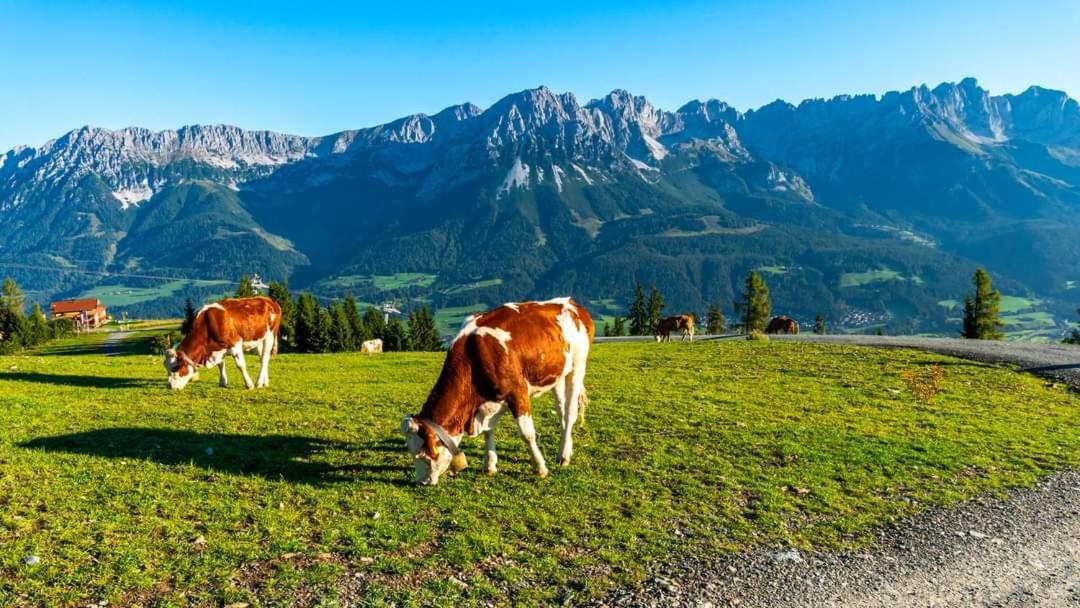 Ferienwohnung Lara Scheffau am Wilden Kaiser Buitenkant foto