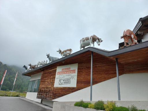Ferienwohnung Lara Scheffau am Wilden Kaiser Buitenkant foto