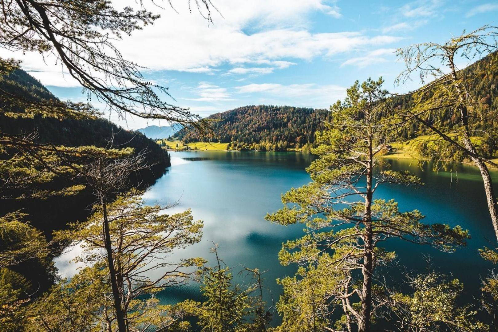 Ferienwohnung Lara Scheffau am Wilden Kaiser Buitenkant foto